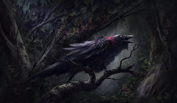 digital art, fantasy art, birds, crow, raven, HD wallpaper