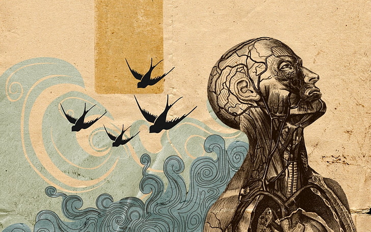 lukisan ilustrasi manusia, karya seni, burung walet (burung), tengkorak, Wallpaper HD