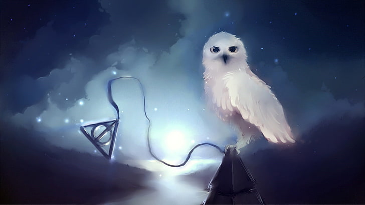white owl wallpaper, Harry Potter, Hedwig, owl, stars, night, Apofiss, Harry Potter and the Deathly Hallows, animals, fantasy art, HD wallpaper