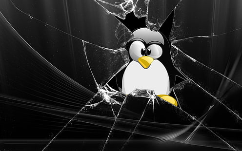 glass linux tux penguins 1920x1200 Teknologi Linux HD Art, linux, glass, Wallpaper HD HD wallpaper