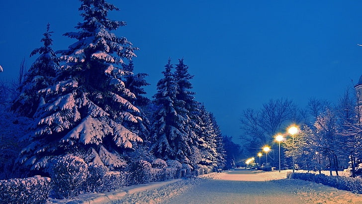 snow covered trees, winter, snow, path, street light, urban, HD wallpaper