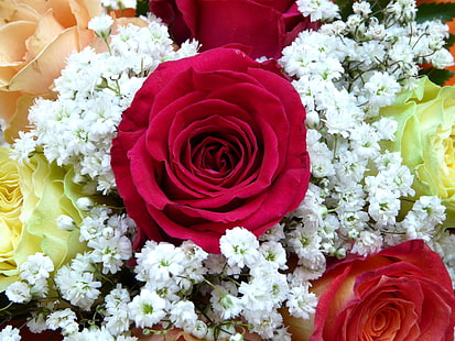 Buket bunga, Mawar Merah, Wallpaper HD HD wallpaper
