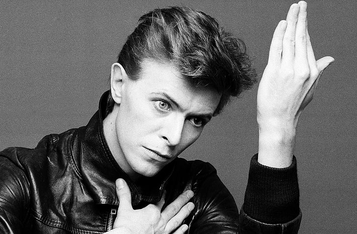 David Bowie, mirando al espectador, monocromo, músicos, Fondo de pantalla HD