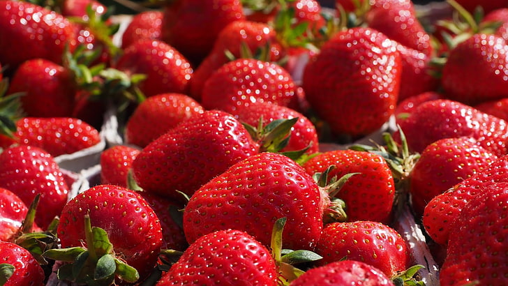 strawberry, berry, fruit, edible fruit, produce, food, strawberries, juicy, sweet, dessert, fresh, diet, healthy, tasty, ripe, delicious, organic, freshness, berries, vitamin, health, close, nutrition, snack, summer, fruits, closeup, leaf, refreshment, natural, vegetarian, rampart, eat, eating, raw, ingredient, gourmet, edible, agriculture, cut, HD wallpaper