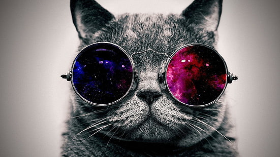 фантазия, котка, цифрово изкуство, забавен, пространство, слънчеви очила, космос, отразено, галактика, очила, слънчеви очила, HD тапет HD wallpaper