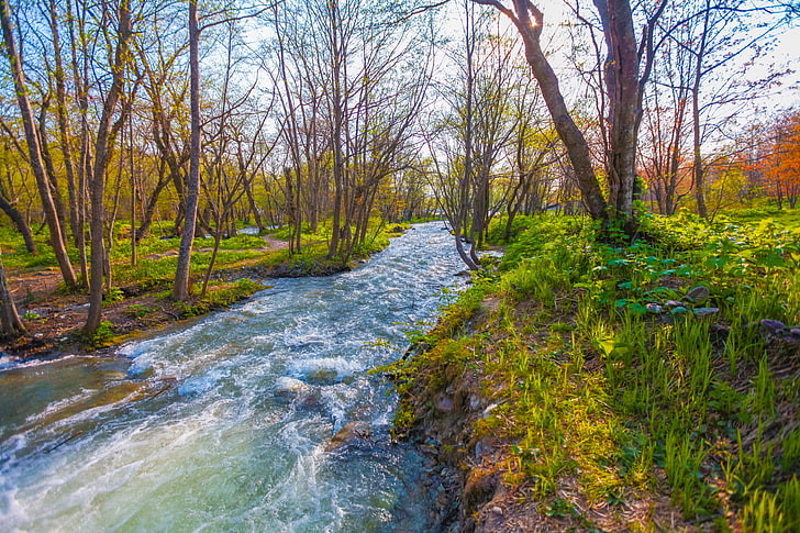 自然、写真、川、ロシア、春、木、ユジノサハリンスク、 HDデスクトップの壁紙