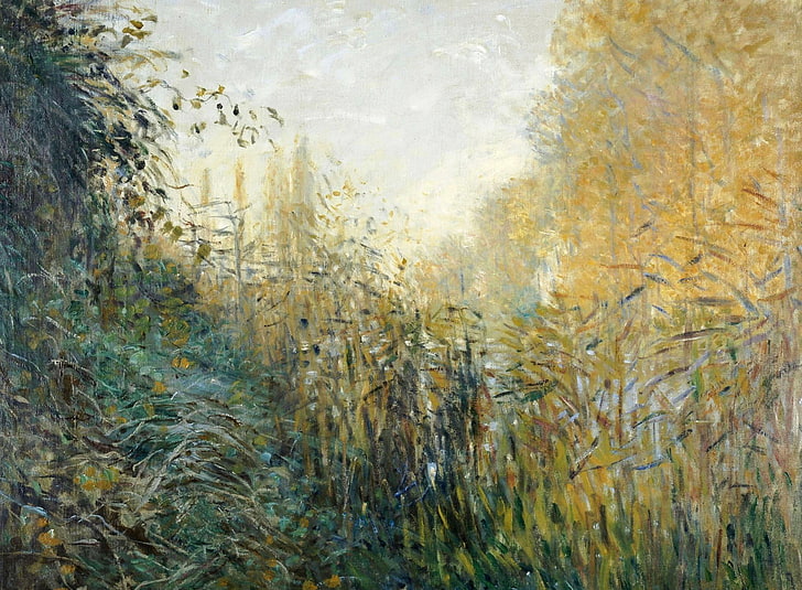 nature, picture, Claude Monet, The reeds, HD wallpaper