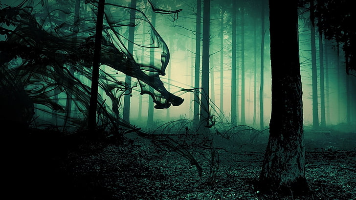 czarny pień drzewa, zieleń, las, dym, cień, drzewa, przerażający, trawa, mgła, Tapety HD
