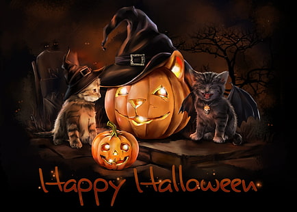Feiertag, Halloween, Happy Halloween, Kürbislaterne, Kätzchen, HD-Hintergrundbild HD wallpaper