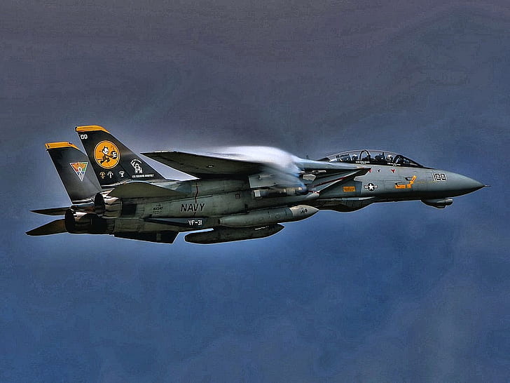 militärische Kämpfer Kater F14 Kater Jet Flugzeuge 1024 x 768 Flugzeuge Militär HD Art, Kämpfer, Militär, HD-Hintergrundbild
