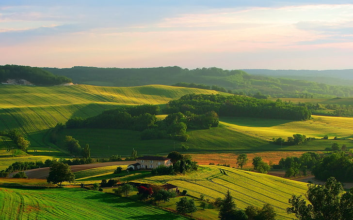 Bauernhof riesige Landschaft-Landschaft HD Wallpaper, grünblättrige Bäume, HD-Hintergrundbild