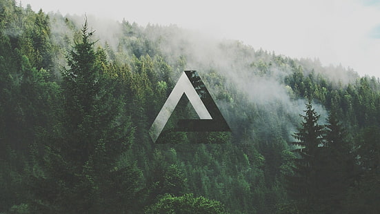 лес, геометрия, треугольник Пенроуза, треугольник, HD обои HD wallpaper