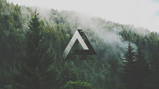 green pine trees, triangle, geometry, forest, Penrose triangle, HD wallpaper HD wallpaper
