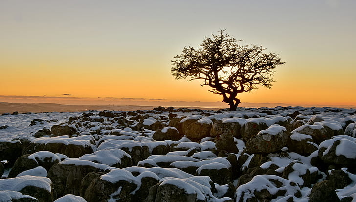 the sky, snow, sunset, stones, tree, England, North Yorkshire, Twisleton Scar, HD wallpaper