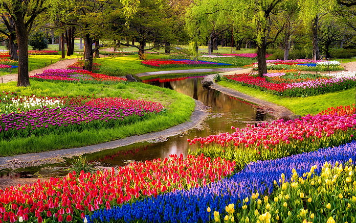 Jardin, fleurs, tulipes, champ, parc, coloré, printemps, belle, arbres, rivière, jardin, fleurs, tulipes, champ, parc, coloré, printemps, belle, arbres, rivière, Fond d'écran HD