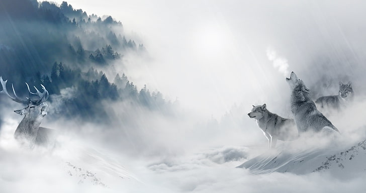 Иллюстрация двух ужасных волков в арктической среде, лес, волк, зима, снег, холод, произведения искусства, животные, природа, олень, туман, HD обои