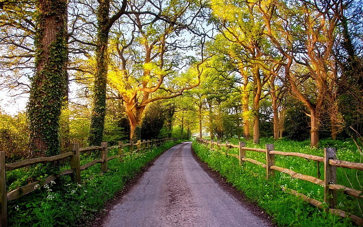england great britain nature-landscape HD wallpape.., brown wooden fences, HD wallpaper