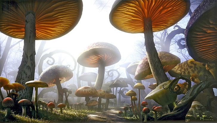 коричневые грибы цифровые обои, грибы, фэнтези арт, растения, цифровое искусство, природа, рендер, HD обои