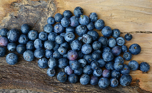 블루 베리, 블루 베리, 딸기, 익은 무리, HD 배경 화면 HD wallpaper