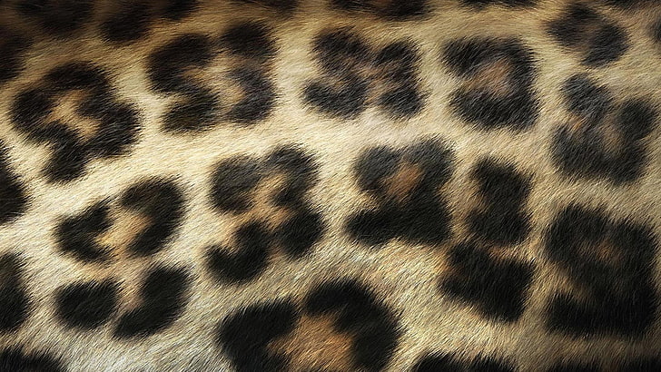 léopard noir et marron textile, fond, cheveux, taches, texture, Fond d'écran HD