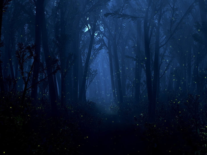 dark forest, forest, light, trees, night, fireflies, lights, HD wallpaper
