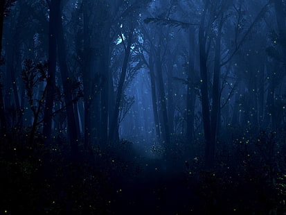 dark forest, forest, light, trees, night, fireflies, lights, HD wallpaper HD wallpaper