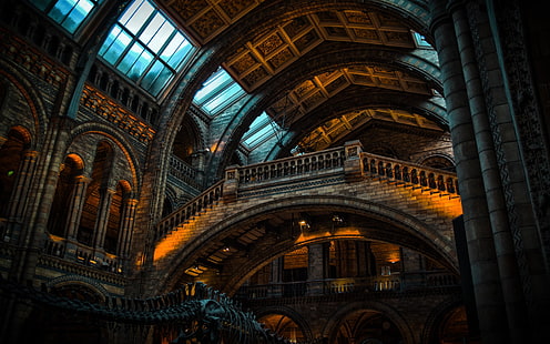 natural light, history, museum, London, building, architecture, Natural History Museum, HD wallpaper HD wallpaper