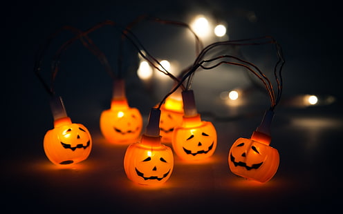 2014 Halloween pumpkins theme wallpaper, Jack O' Lantern string lights, HD wallpaper HD wallpaper