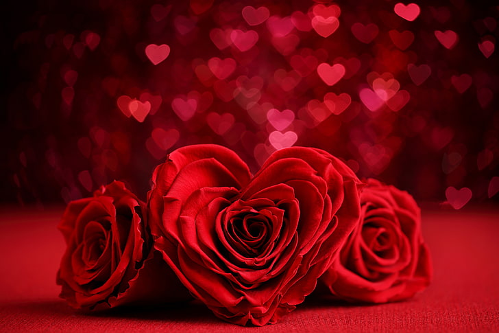bokeh, day, flower, heart-shaped, red, romantic, rose, valentines, HD wallpaper
