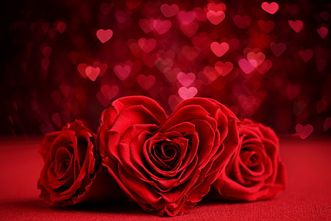 bokeh, day, flower, heart-shaped, red, romantic, rose, valentines, HD wallpaper HD wallpaper
