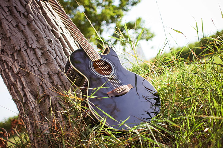 country, field, grass, guitar, musical instrument, string instrument, tree, wooden, HD wallpaper