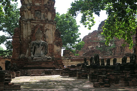 ayutthaya, buddha, old temple, ruin, thailand, HD wallpaper HD wallpaper