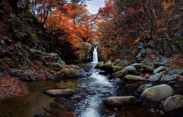 timelapse photography of water fall in the middle of trees during daytime, autumn, waterfall, timelapse photography, water fall, fall in, middle, trees, daytime, e-pl5, nature, forest, stream, leaf, river, tree, water, falling, scenics, beauty In Nature, landscape, rock - Object, outdoors, freshness, HD wallpaper