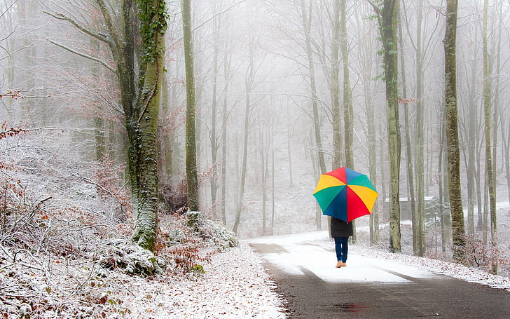 multicolored umbrella, park, person, umbrella, snow, road, fog, walk, HD wallpaper