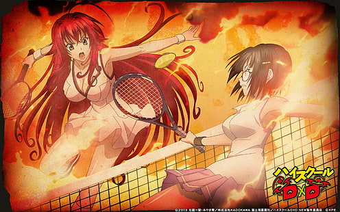 Anime Girls, Highschool DxD, Gremory Rias, HD-Hintergrundbild HD wallpaper