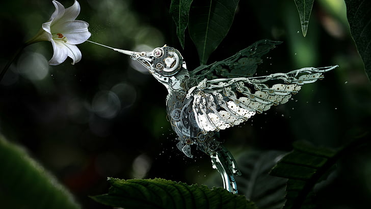 white bellflower and gray hummingbird in closeup photography, Hummingbird, Сolibri, steampunk, flower, leaves, green, drops, flying, bird, nectar, garden, nature, mechanical, HD wallpaper