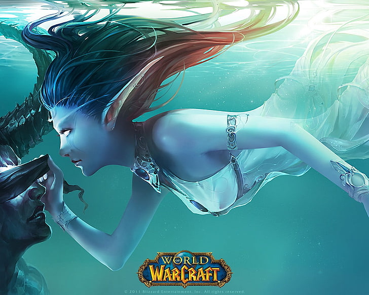 Warcraft Naga yarışı dünyası HD duvar kağıdı, World of Warcraft, İllidan fırtına, İllidan, video oyunları, fantastik kız, Tyrande Whisperwind, HD masaüstü duvar kağıdı