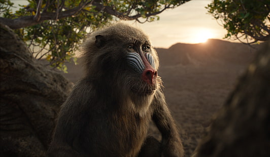 Movie, The Lion King (2019), Rafiki (The Lion King), HD тапет HD wallpaper