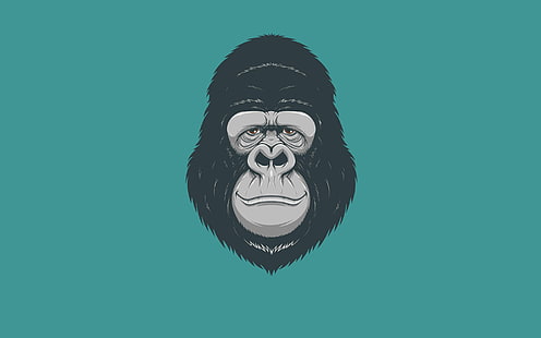 ilustracja małpy, minimalizm, głowa, małpa, goryl, Tapety HD HD wallpaper