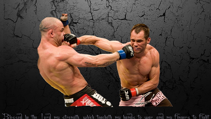 sports, boxing, UFC, wanderlei silva, Rich Franklin, HD wallpaper
