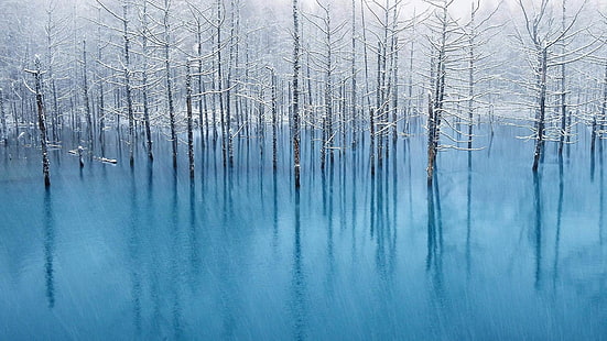 naturaleza, bosque, calma, escarcha, cielo, congelado, árbol, congelación, pantano, invierno, agua, reflexión, escarcha, frío, nieve, lago, árboles, Fondo de pantalla HD HD wallpaper