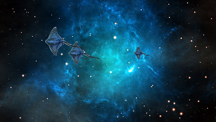 tiga ilustrasi pari manta biru, lautan, luar angkasa, galaksi, SKAT, lautan, Wallpaper HD