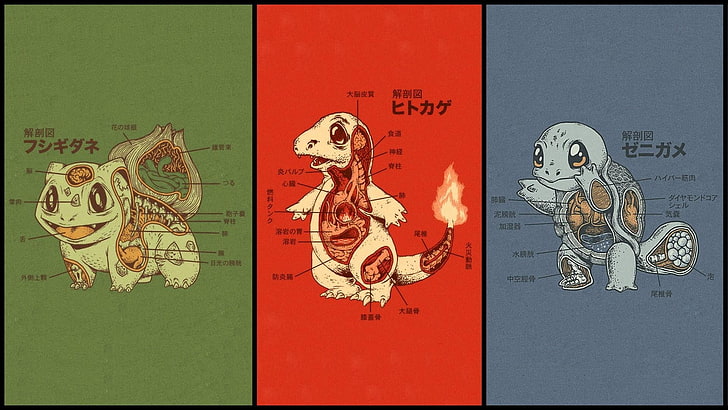 Ilustrasi bagian Pokemon, Bulbasaur, Charmander, dan Squirtle wallpaper anatomi Pokemon, Pokemon, fiksi ilmiah, sains, anatomi, video game, Wallpaper HD