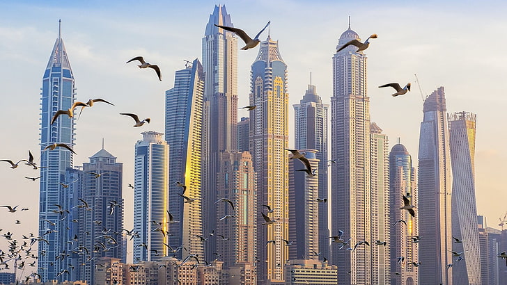 flock of seagull, architecture, building, skyscraper, cityscape, United Arab Emirates, Dubai, birds, flying, HD wallpaper