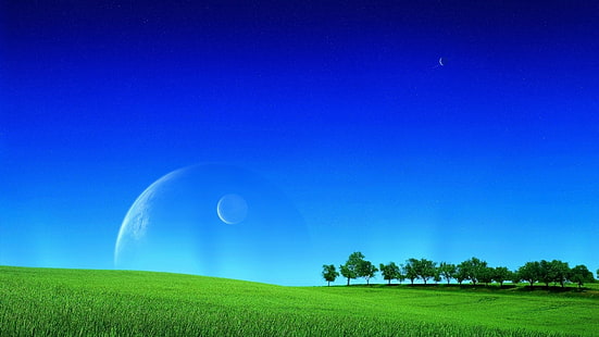 الحقل ، العشب ، ضوء القمر ، السماء ، الكوكب، خلفية HD HD wallpaper