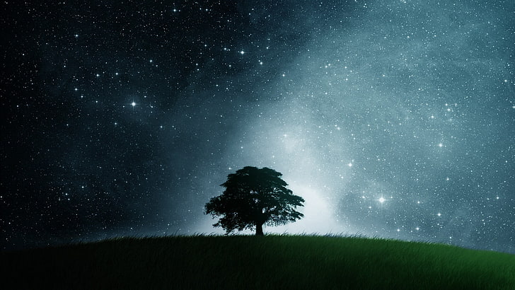 awesome cool Lonely tree Nature Other HD Art , Cool, dark, awesome, Field, lonely, epic, HD wallpaper