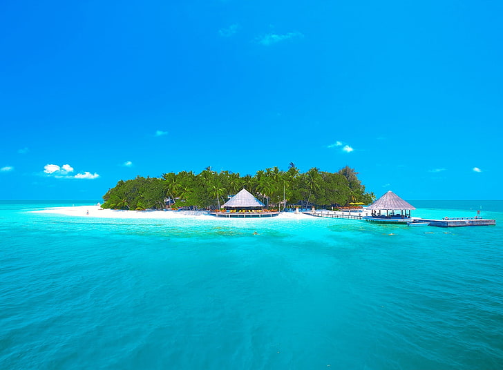 Тропически рай, остров с кокосови палми и чист воден океан през деня, пътуване, острови, океан, екзотика, рай, пейзаж, лято, мечта, вода, тропически, пясък, лято, лукс, палми, ваканция, HD тапет