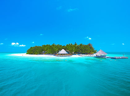 Paradis tropical, île avec cocotiers et océan d'eau claire pendant la journée, voyage, îles, océan, exotique, paradis, paysage, été, rêve, eau, tropical, sable, été, luxe, palmiers, vacances, Fond d'écran HD HD wallpaper