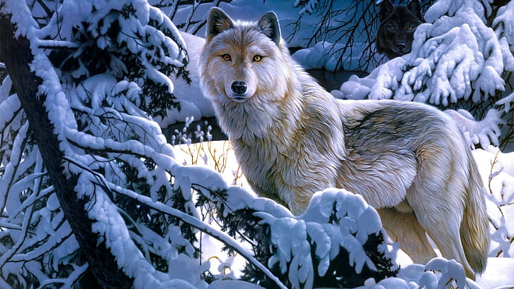 สัตว์ป่า, หมาป่า, หมาป่าสีขาว, จิตรกรรม, ศิลปะจินตนาการ, หิมะ, หมาป่าทุนดราอลาสก้า, ฤดูหนาว, การแช่แข็ง, ต้นไม้, Wolfdog, วอลล์เปเปอร์ HD