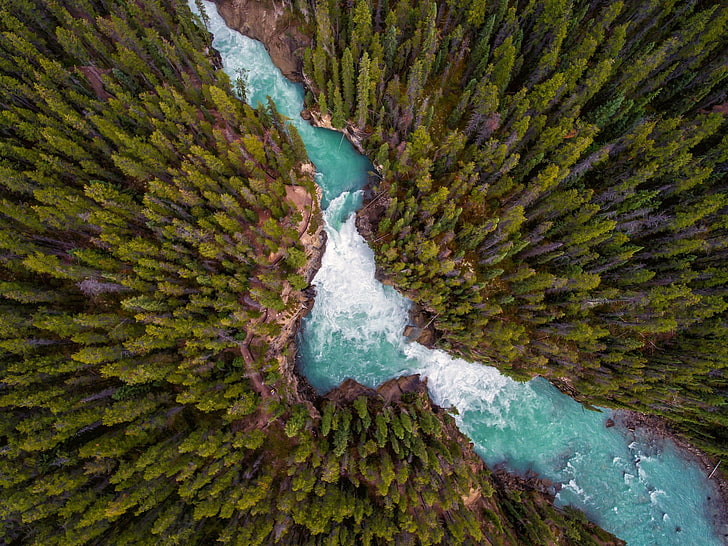 fotografia de vista aérea do lago entre pinheiros, paisagem, árvores, floresta, natureza, rio, água, HD papel de parede
